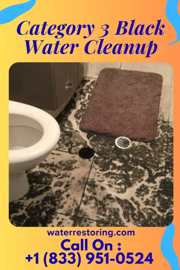 Category 3 Black Water Cleanup in Benld, IL
