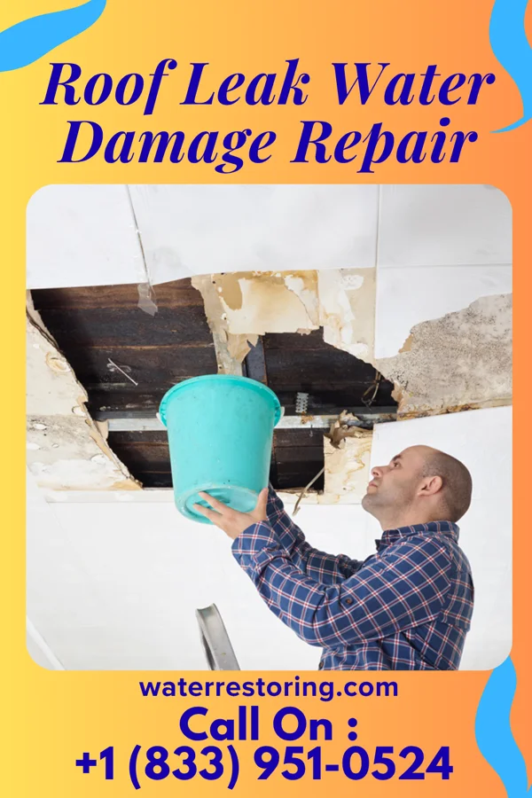 Roof Leak Water Damage Repair in Benld, IL